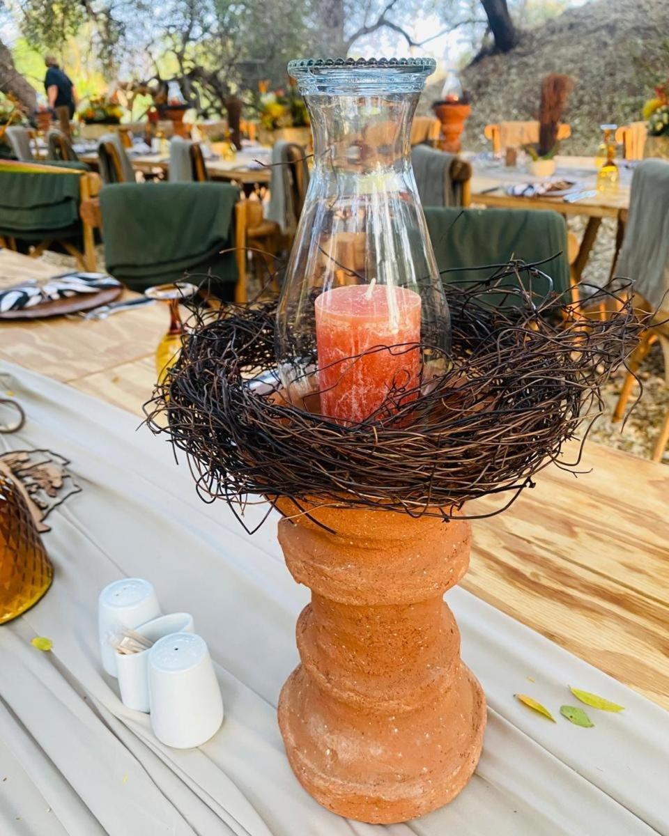Palala Boutique Game And Lodge *