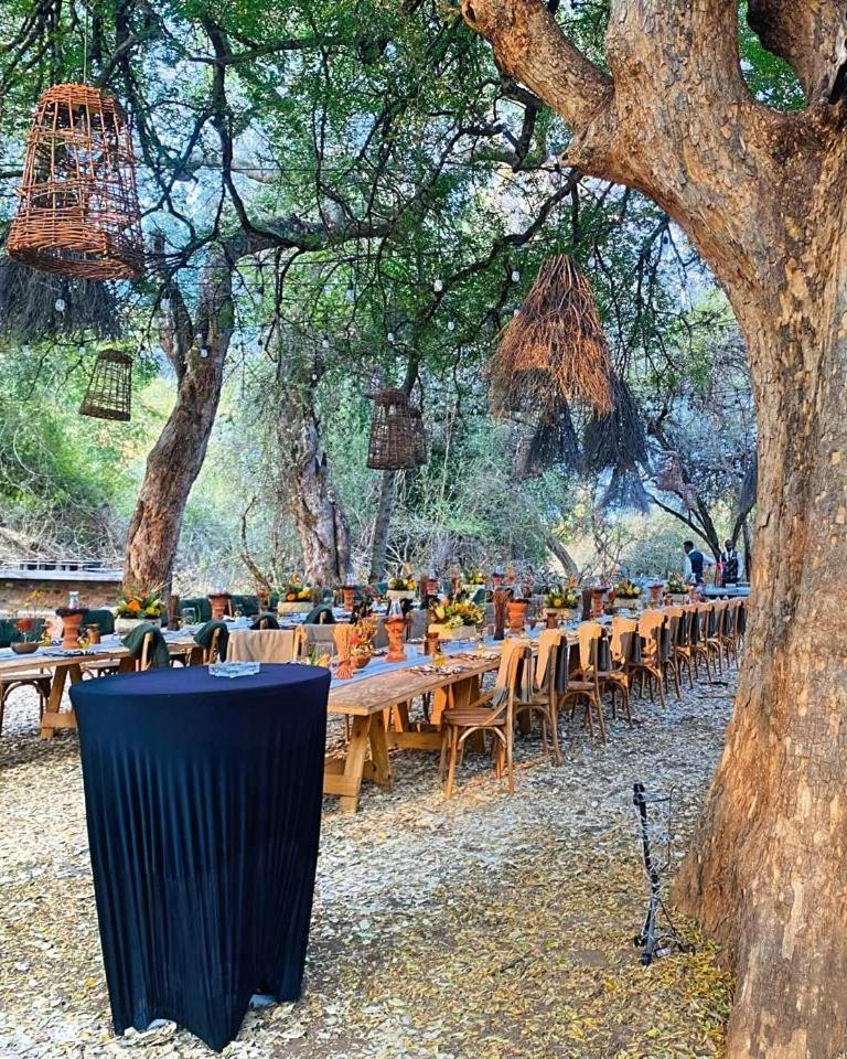 Palala Boutique Game And Lodge Tom Burke