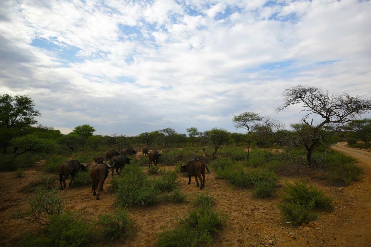 Palala Boutique Game And Lodge Tom Burke