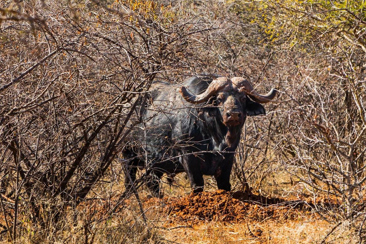 Palala Boutique Game And Lodge *